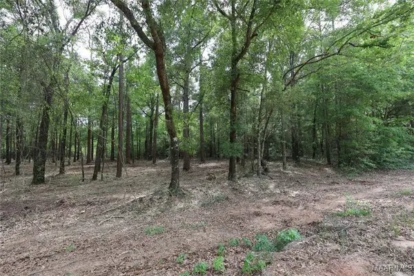 1986 County Road 156, Enterprise, AL 36330