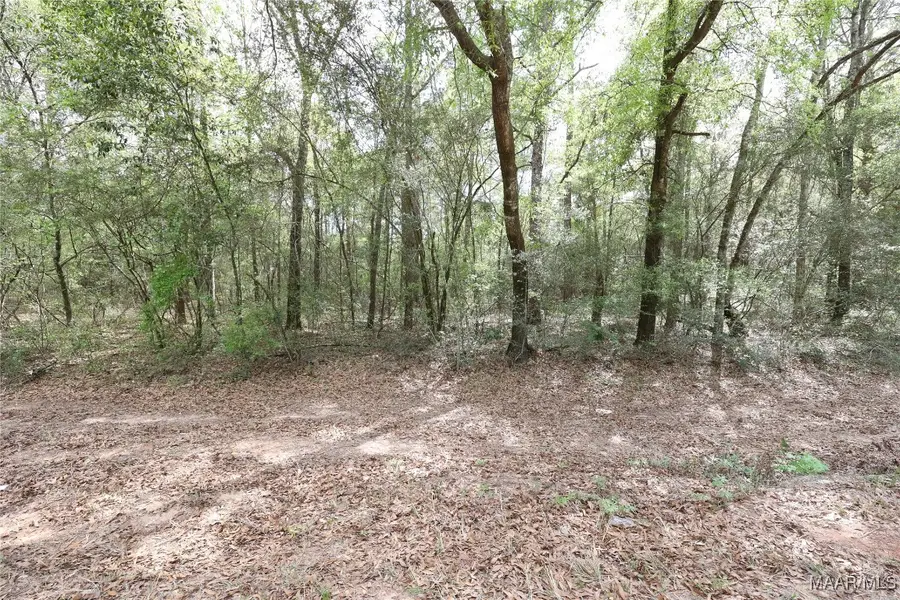 1986 County Road 156, Enterprise, AL 36330 - Image #2