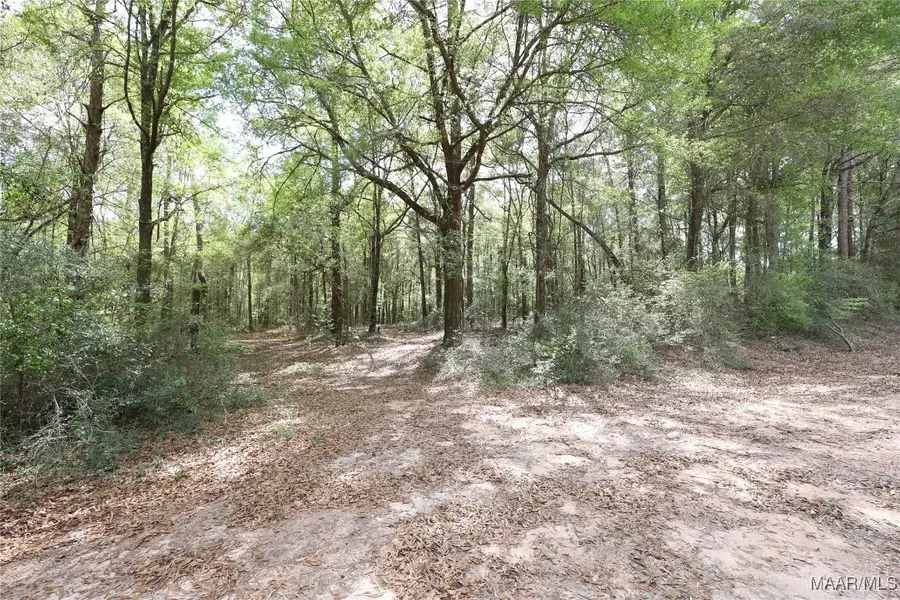 1986 County Road 156, Enterprise, AL 36330 - Image #3