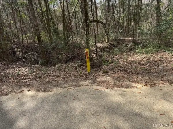 0 Davis Street E, Elba, AL 36323