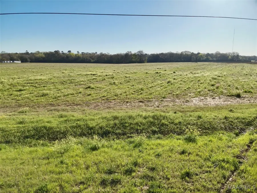 11.97 Acres Omussee Road, Dothan, AL 36303 - Image #3