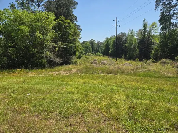 0 Highway 203, Elba, AL 36323