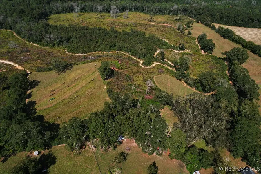 2085 County Road 3341, Brundidge, AL 36010 - Image #3