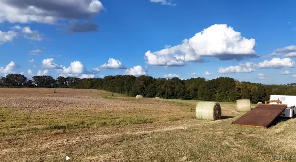 3800 County Road 708 Road #Lot 2, Enterprise, AL 36330