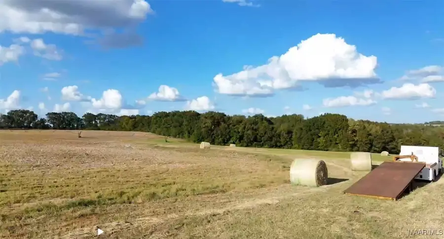 3800 County Road 708 Road #Lot 2, Enterprise, AL 36330 - #2