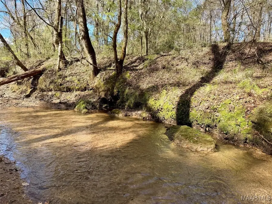 2326 Campbell Hill Road, Chancellor, AL 36316 - Image #2