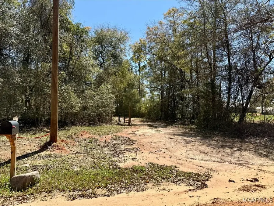 2326 Campbell Hill Road, Chancellor, AL 36316 - Image #3