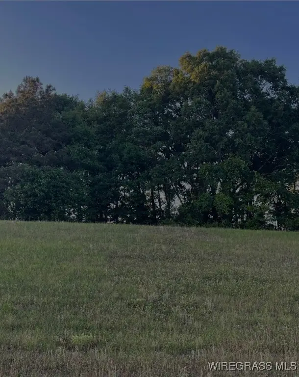 0 Boll Weevil Circle, Enterprise, AL 36330 - Image #3