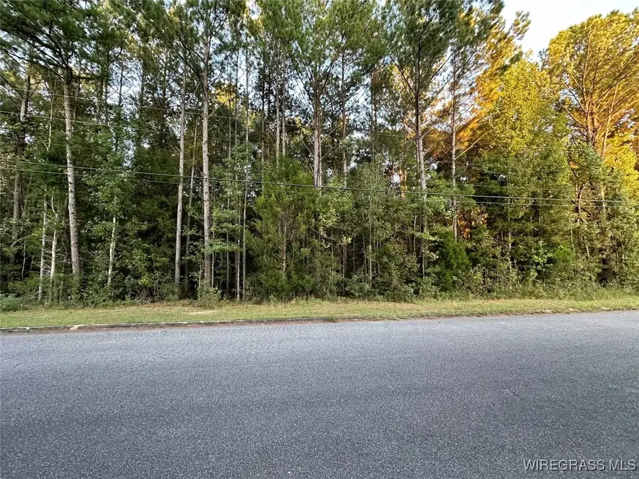 LOT 7 Forest Lake Drive, Elba, AL 36323 - Image #2
