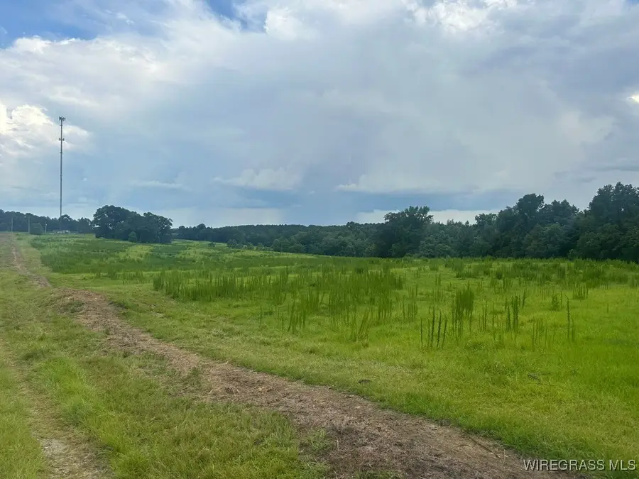 00 S Main Street, Brundidge, AL 36010 - Image #3