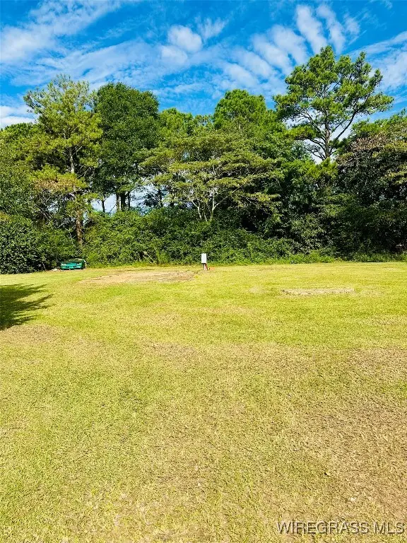 715 N John Street, New Brockton, AL 36351