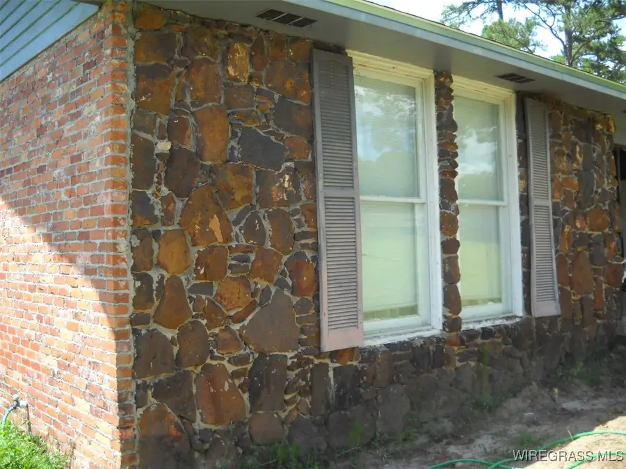 4515 County Road 11, Ariton, Al. 36311, Ariton, AL 36311 - Image #3