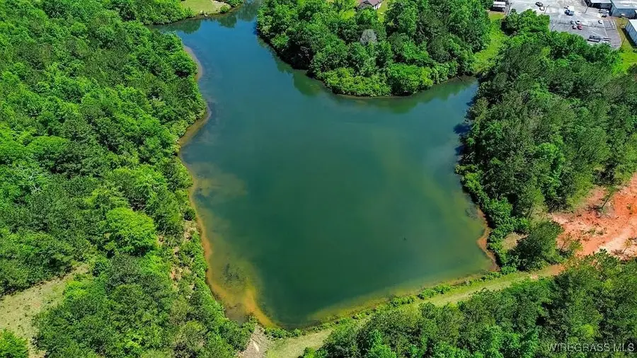 0 Loree Road, Evergreen, AL 36401 - Image #2