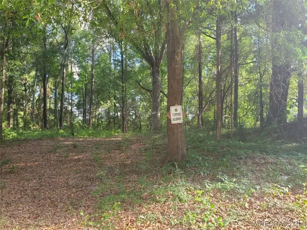 2.33 acres Parker Road, Ozark, AL 36360