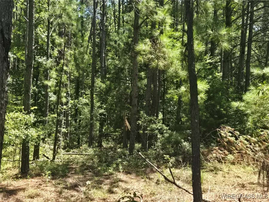 0 County Road 26, Hope Hull, AL 36043 - Image #2