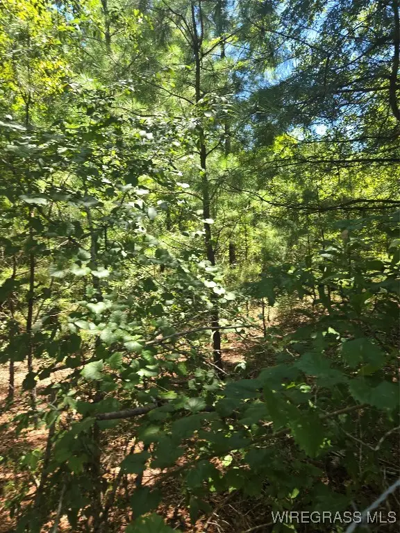 0 County Road 26, Hope Hull, AL 36043 - Image #3