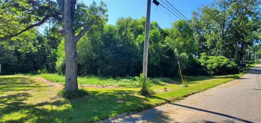 114 Foster Street, Opp, AL 36467 - Image #3