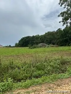 Lot 19 County Road 613, New Brockton, AL 36351 - #1