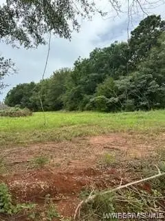 Lot 19 County Road 613, New Brockton, AL 36351 - #2