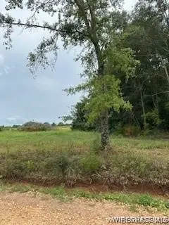 Lot 19 County Road 613, New Brockton, AL 36351 - #3