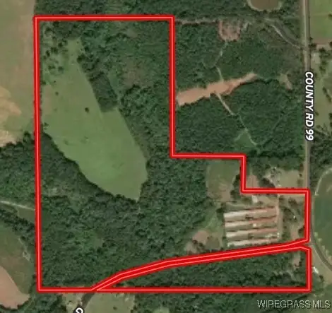 0 County Road 99 Road, Chancellor, AL 36316 - Image #2