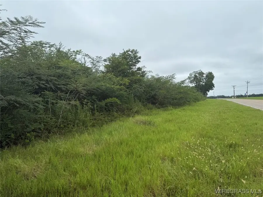 0 Highway 87 Highway, Goodman, AL 36447 - Image #3