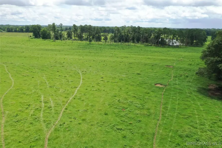 0 Jimbo Road, Webb, AL 36376 - Image #2