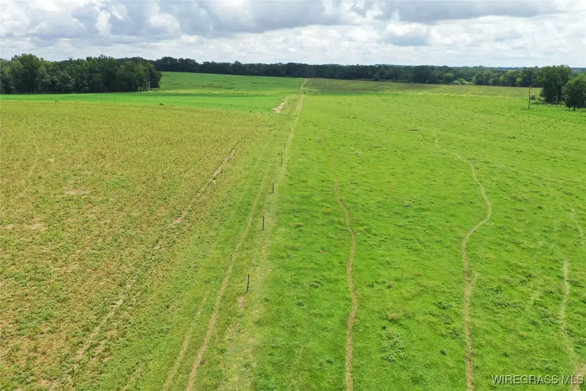 00 Jimbo Road, Webb, AL 36376 - Image #1