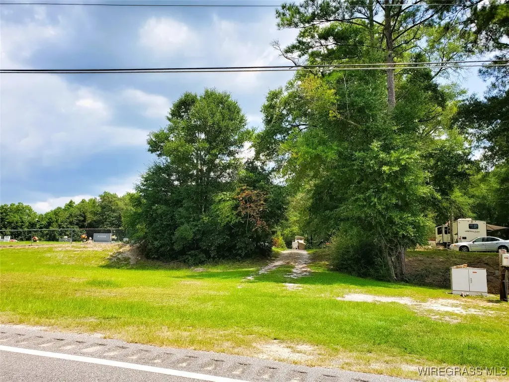 TBD Highway 85, Daleville, AL 36322 - Image #1