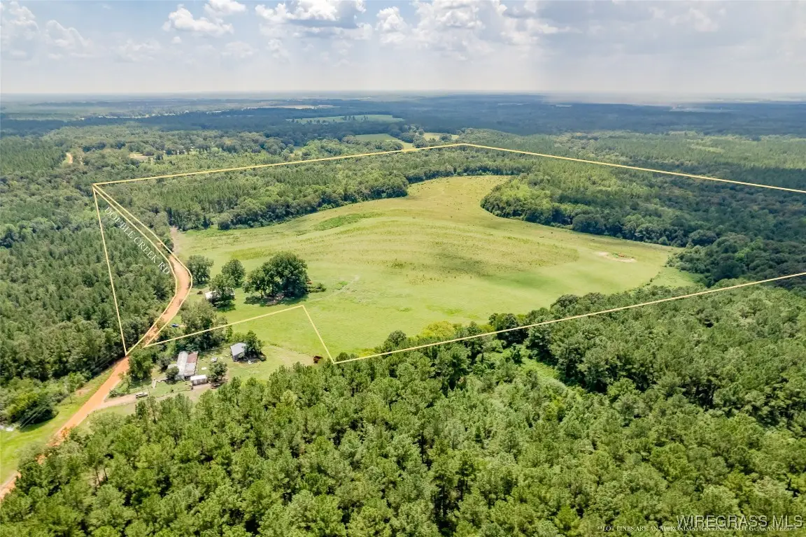 741 Double Creek Road, Coffee Springs, AL 36318 - Image #1