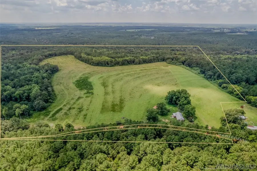 741 Double Creek Road, Coffee Springs, AL 36318 - Image #2