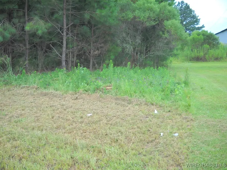 N/A Highway 231, Ozark, AL 36360 - Image #3