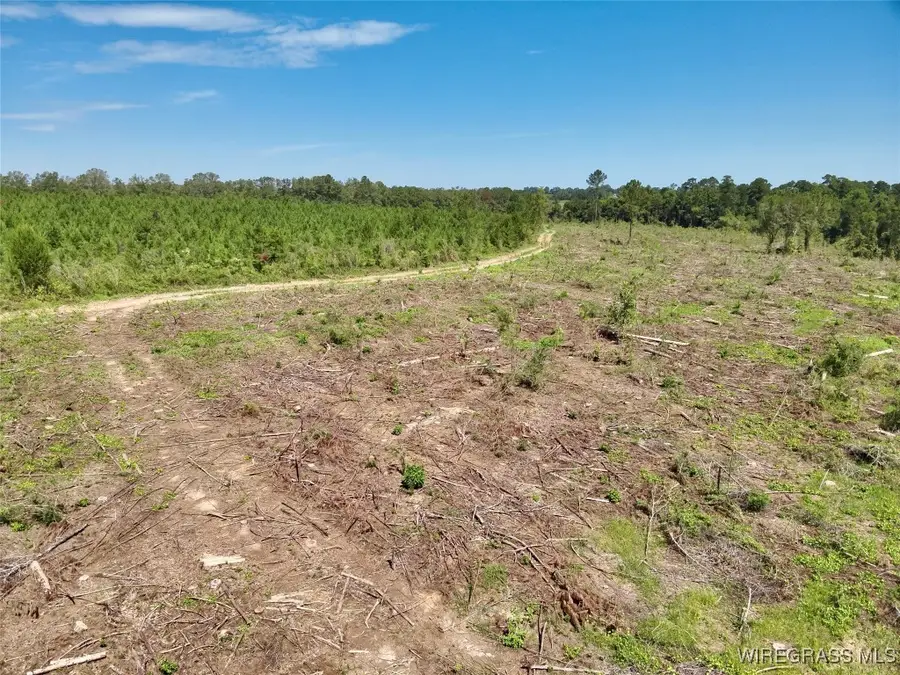 130 Acres Highland Street, Malvern, AL 36375 - Image #2