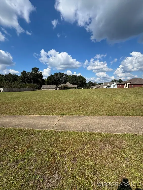 119 Frisco Lane, Enterprise, AL 36330 - Image #2