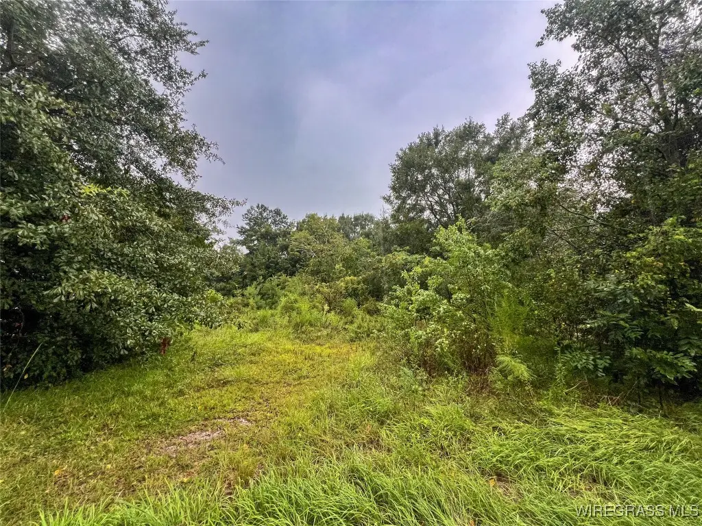 TBD 2nd Street, Opp, AL 36467 - Image #1