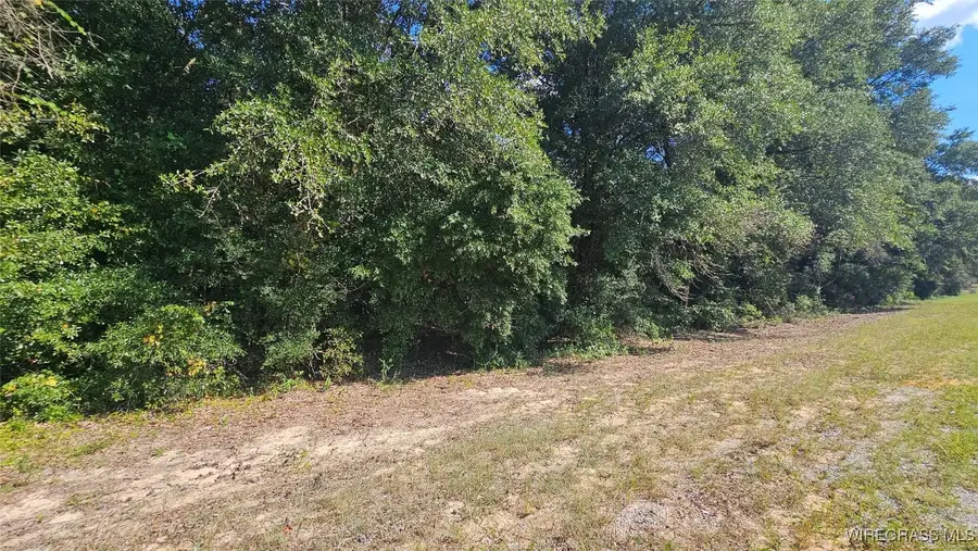 Lot 2 County Road 61, Ozark, AL 36360 - Image #2