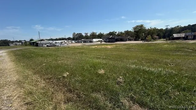 TBD S Whaley Street, Opp, AL 36467 - Image #2