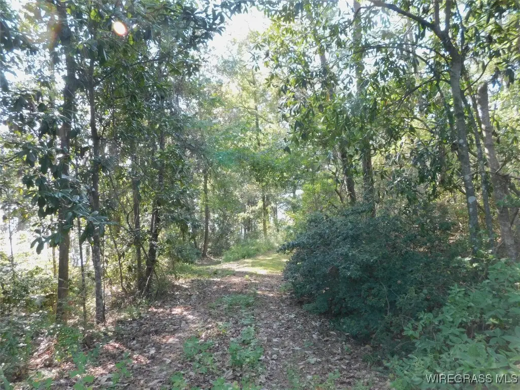 7 Greenbriar Loop, Andalusia, AL 36421 - Image #1