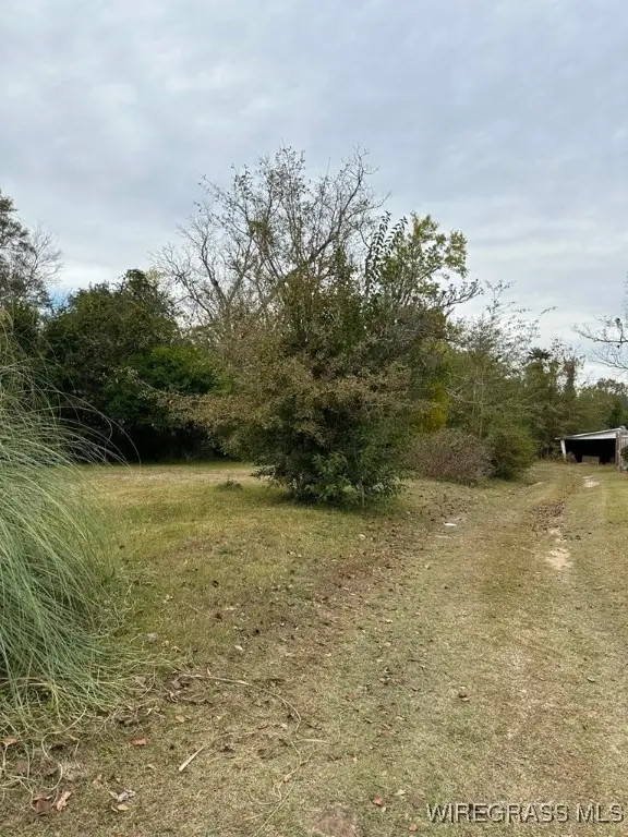 206 Oak Street, Brundidge, AL 36010 - Image #2