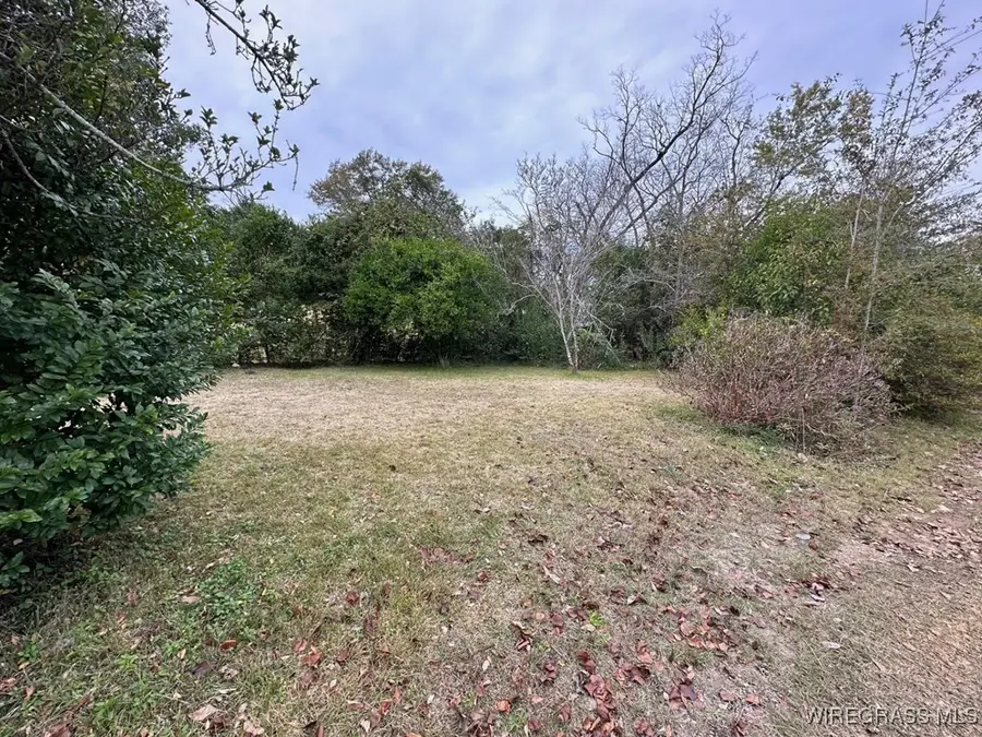 206 Oak Street, Brundidge, AL 36010 - Image #3