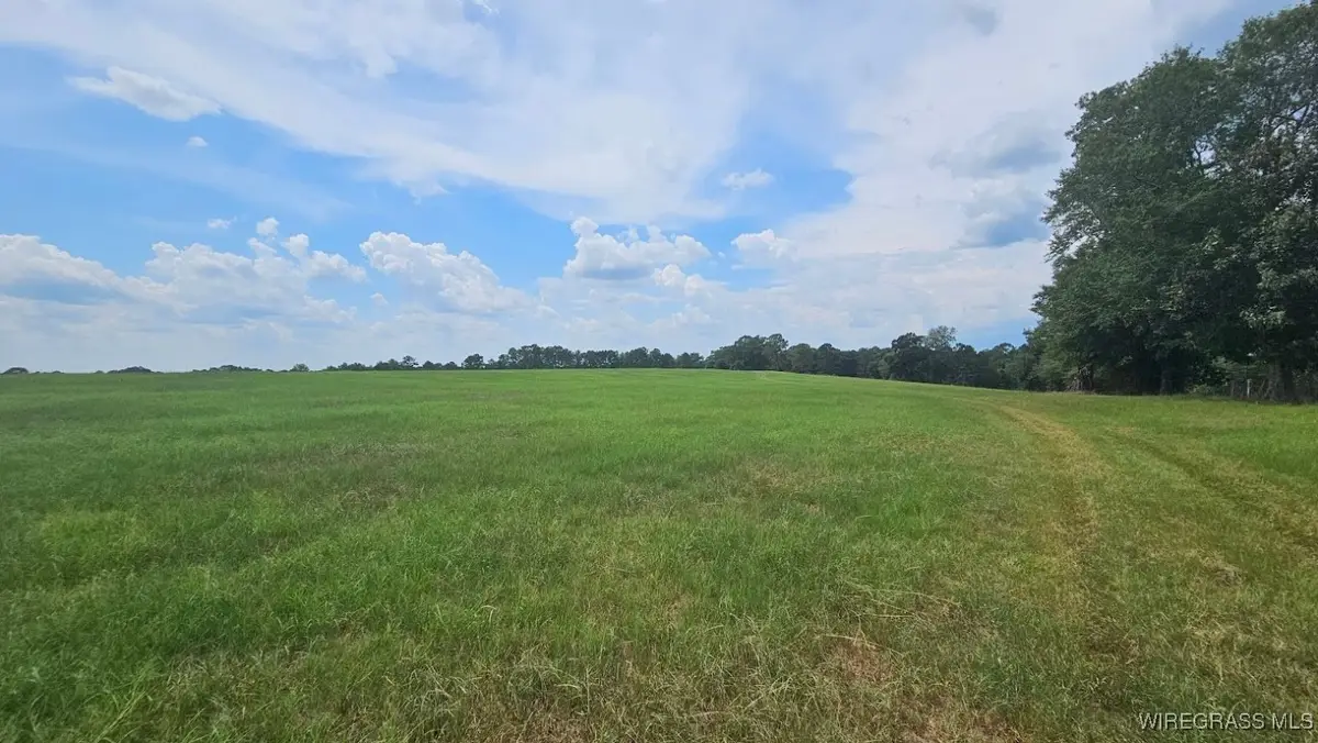 Lot 1 County Road 70, Ariton, AL 36311 - Image #1