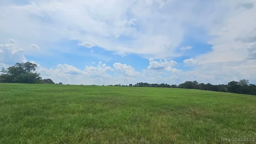 Lot 1 County Road 70, Ariton, AL 36311 - Image #2