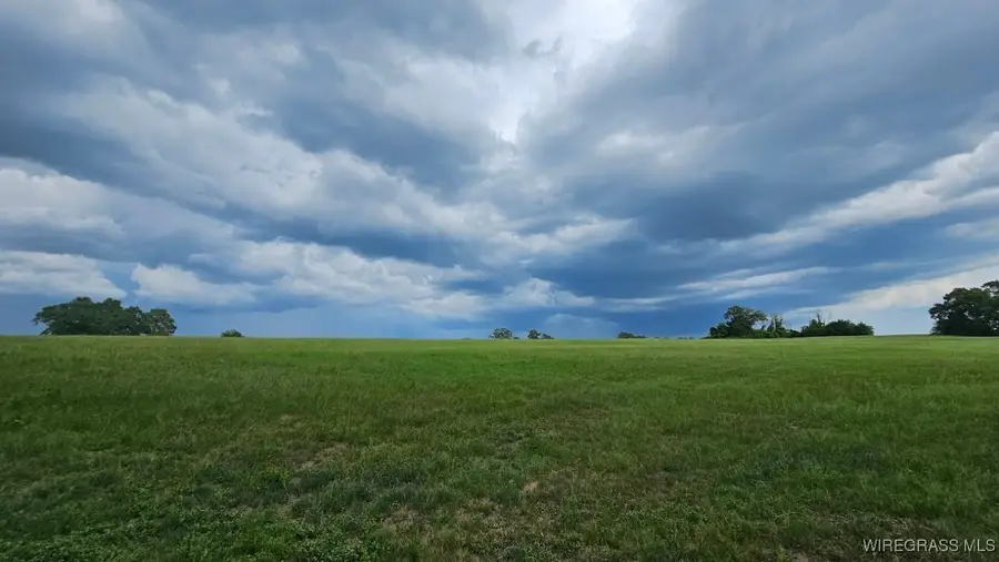 Lot 1 County Road 70, Ariton, AL 36311 - Image #3