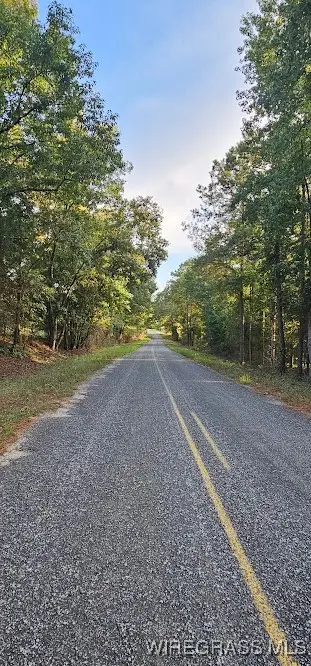 Lot 2 County Road 70, Ariton, AL 36311 - Image #2