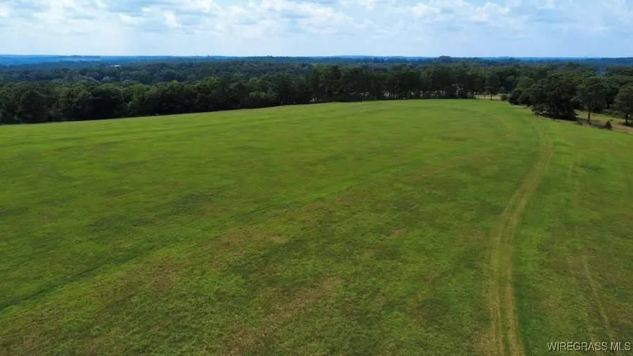 Lot 2 County Road 70, Ariton, AL 36311 - Image #3