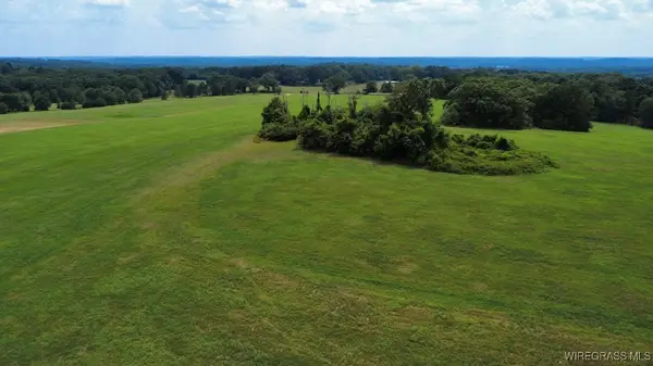 Lot 3 County Road 70, Ariton, AL 36311