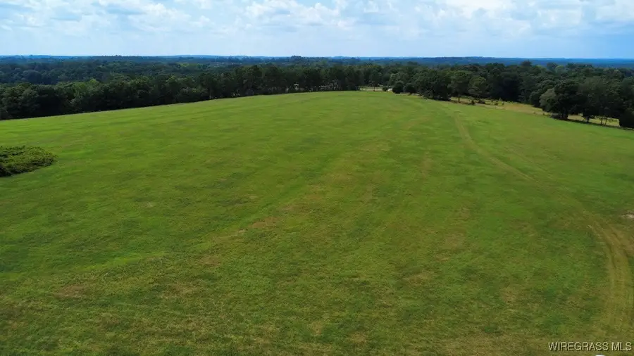 Lot 3 County Road 70, Ariton, AL 36311 - Image #2