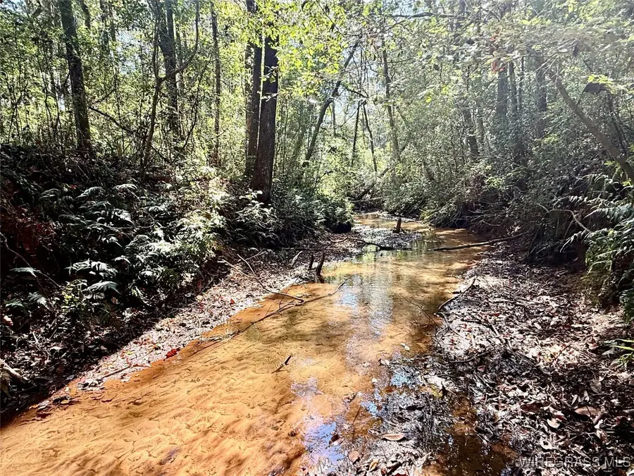 155.33 Acres County Road 1, Daleville, AL 36322 - Image #2