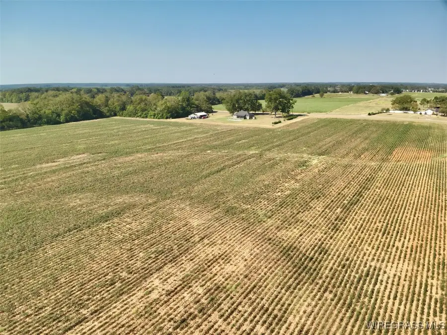 155.33 Acres County Road 1, Daleville, AL 36322 - Image #3