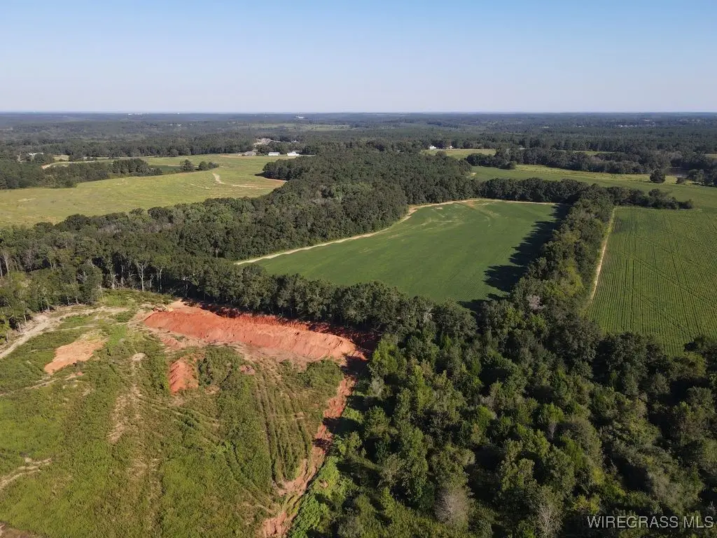 72.75 ac. Boll Weevil Circle, Enterprise, AL 36330 - Image #1